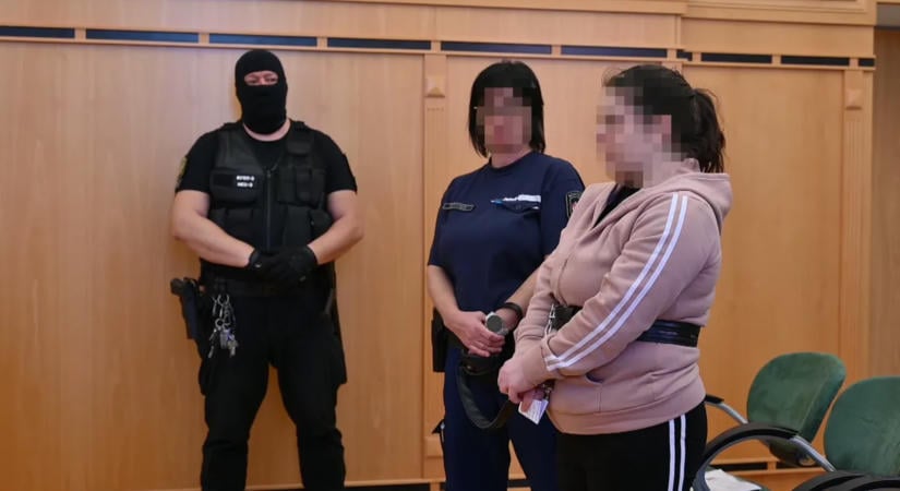 19 év fegyházat kértek a 14 napos Zalán megölésével vádolt anyára
