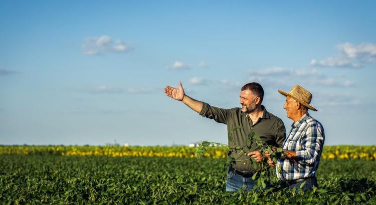 Új agrártámogatások jönnek, a vízmegtartás a cél