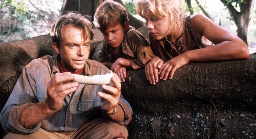 Emlékszel a Jurassic Park szőke kislányára? Már 47 éves, és ma is felismerik az utcán