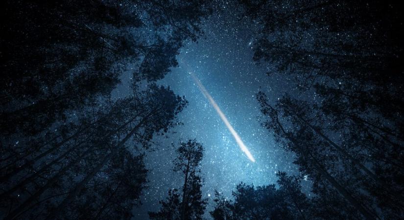 Az élet kialakulásához szükséges összetevőket találtak egy amerikai házba csapódott meteoritban