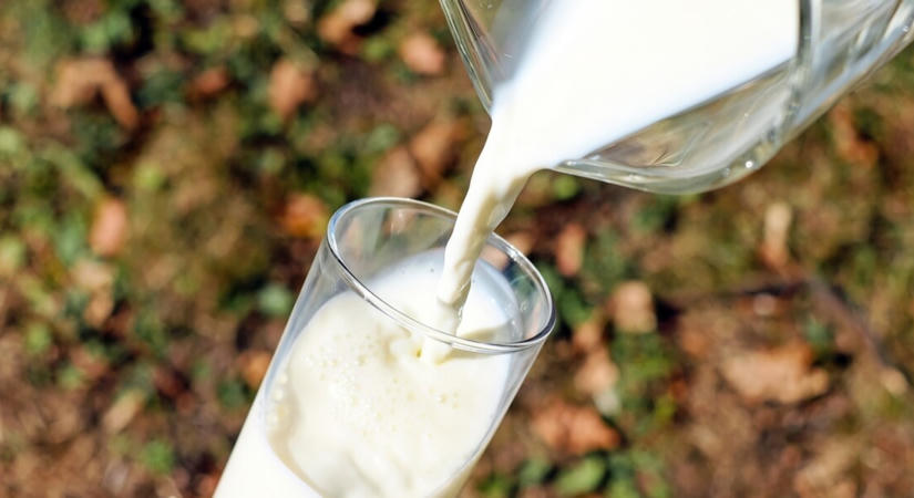 Ne idd meg, ha ilyen tejet vettél az ALDI-ban: azonnal visszahívják a boltokból