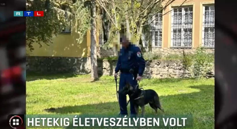 Járni tanul a rendőr, akit júliusban gázoltak el igazoltatás közben