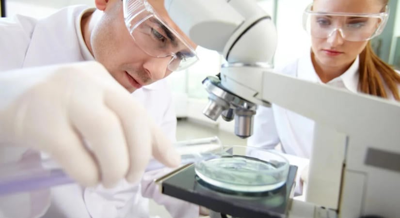 Kutatók éjszakája: mikrobák utáni nyomozás és laboratóriumi programok az egyetemeken