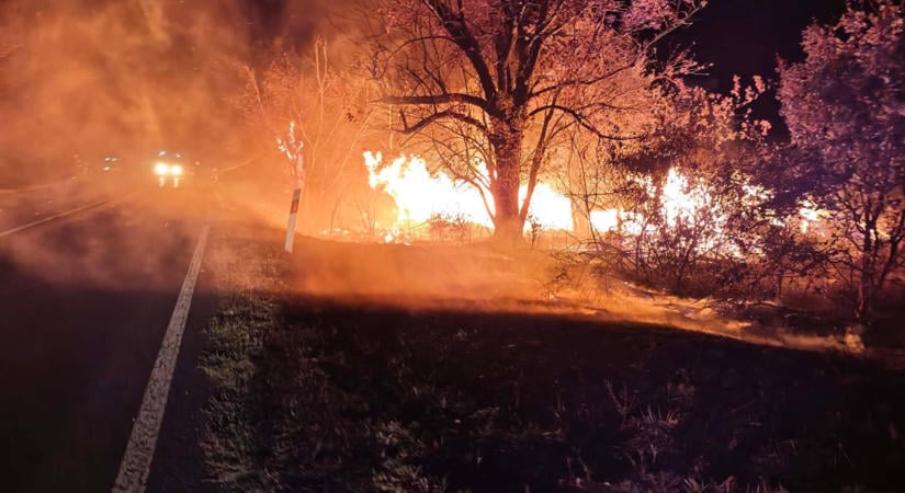 Lángok a 6-os főútnál, baleset Pécsett – mozgalmas napjuk volt a tűzoltóknak