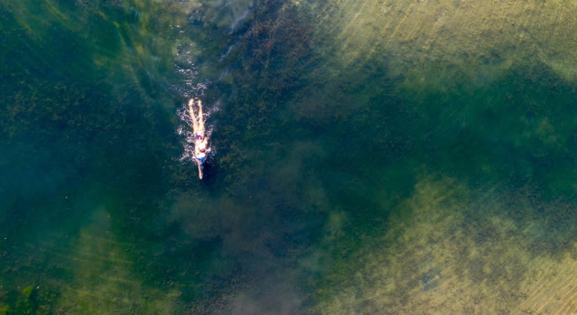 Ússz mini medúzák között Magyarországon – Gyékényesre látogat az Open Water Tournament mezőnye
