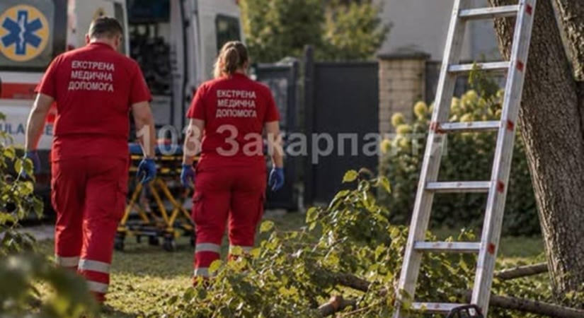 Tragédia fametszés közben Kárpátalján: magasból zuhant le egy 74 éves férfi