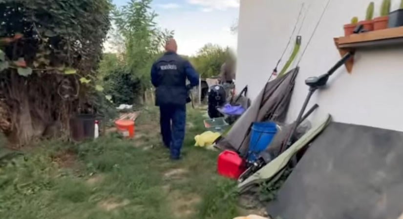 Őszi kender szüret - kábítószergyanús növényt foglaltak le a vasi rendőrök