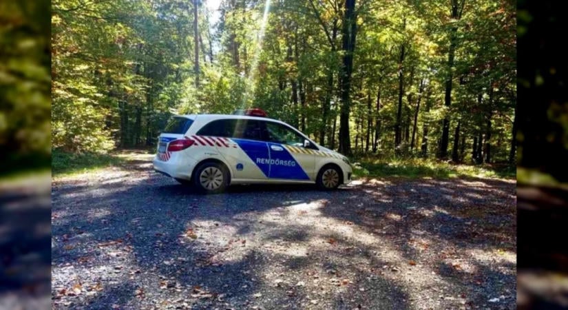 Sértetlenül találtak meg egy 92 éves gombászót az apátistvánfalvai erdőben