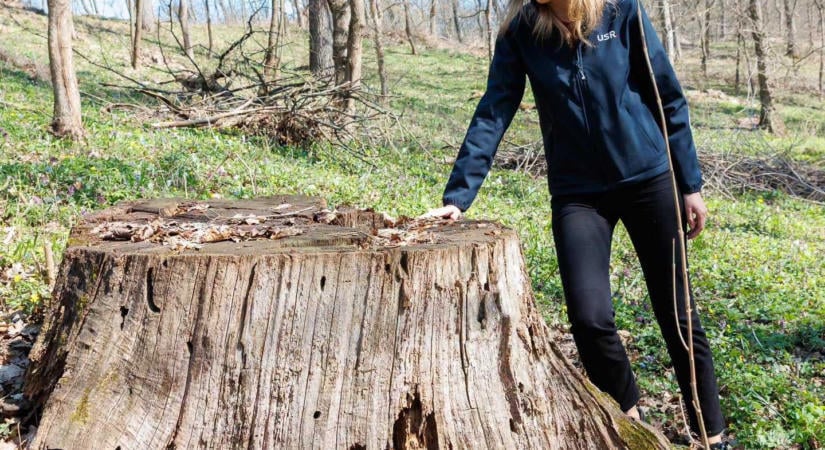 „Nem kap autót, amíg meg nem mondja, kit ellenőriz” – Véget vetne a zsarolásnak a miniszter