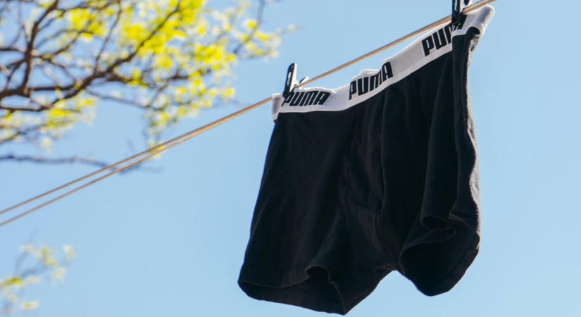 Elástak kétezer alsógatyát, ami történt velük, az teljesen nonszensz