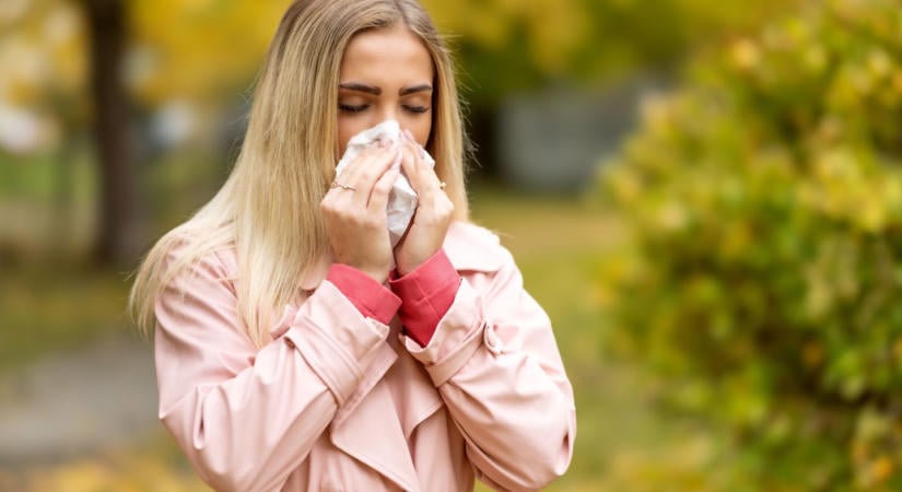 Rossz hír az allergiásoknak, még mindig támad a gyomnövény