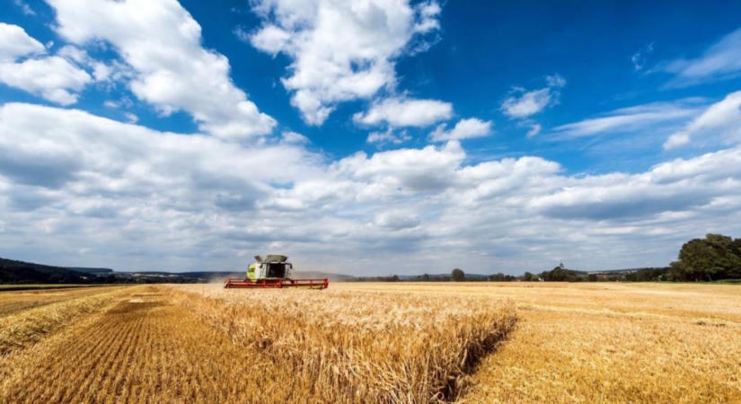 Földtörvény, vadkár, vagyonadó: komoly változásokról beszélt az agrárminiszter