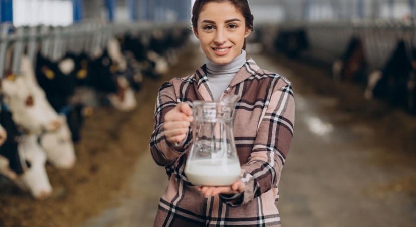 Tetemes áresés sújtja a magyar tejtermelőket