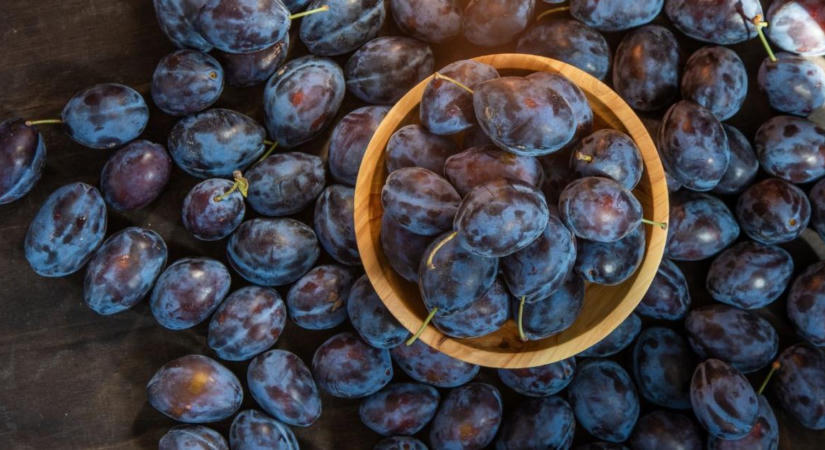 Tarol az olcsó moldáv import: ezért szorul ki a magyar szilva a hazai konzervgyárakból