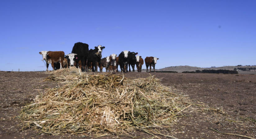 Három év eredményét viheti el az agrárium több száz milliárdos vesztesége