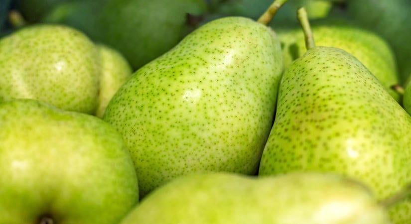 Különös dolog történik a gyümölcsösökben: ezt nem sokan látták jönni