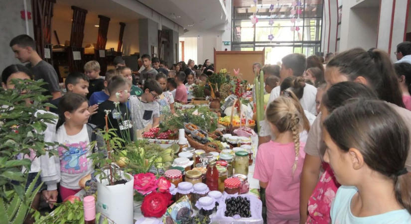 Az aszály sem fogott ki rajtuk, csodás termésekkel rukkoltak elő az abonyi kertbarátok