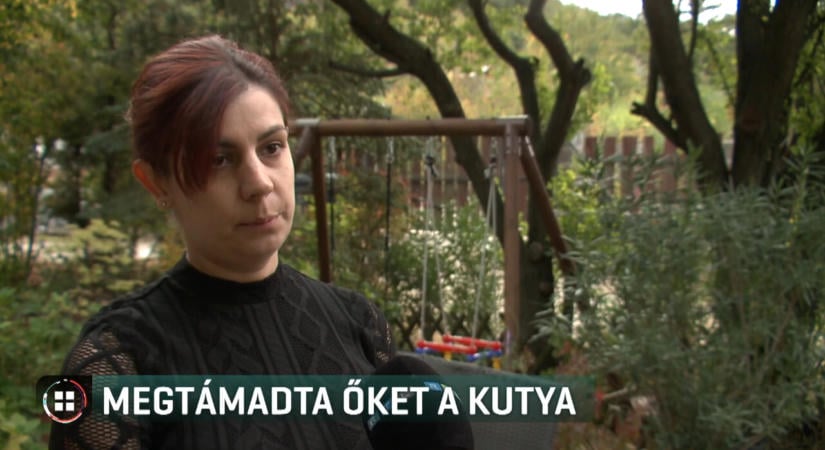 Felemelte 3 éves kislányát, hogy megvédje a támadó kutyától, de mindkettőjüket megharapta Pomázon