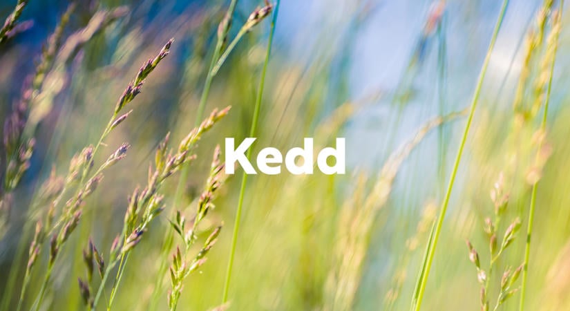 Friss! Agrárszektor időjárás előrejelzés: 2026.08.25. kedd