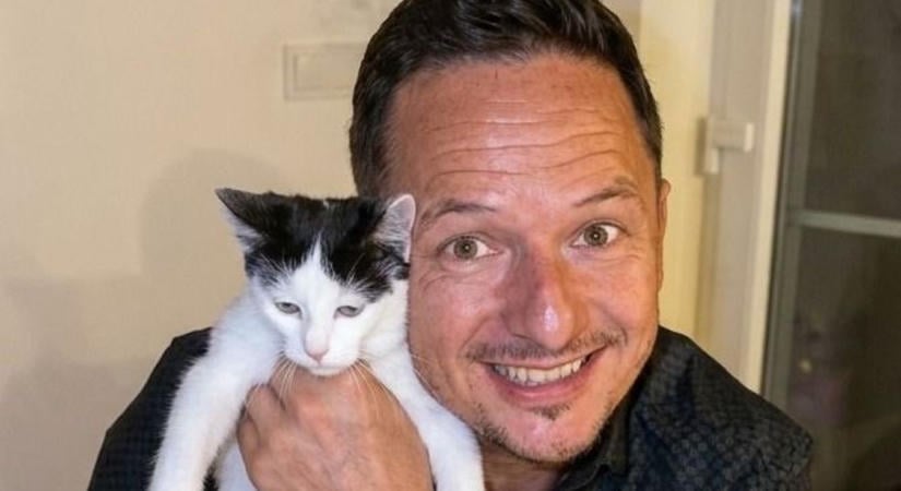 Tesók Attila, ATES is beállt a jó ügy mellé – az árva cicák támogatásért énekel a hétvégén a mulatós király
