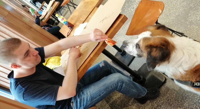 Hét étel, amit nem szabad házi kedvenceinknek adni