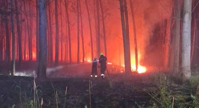 Lángba borult Tiszadob határa, három megyéből rohantak a tűzoltók a helyszínre