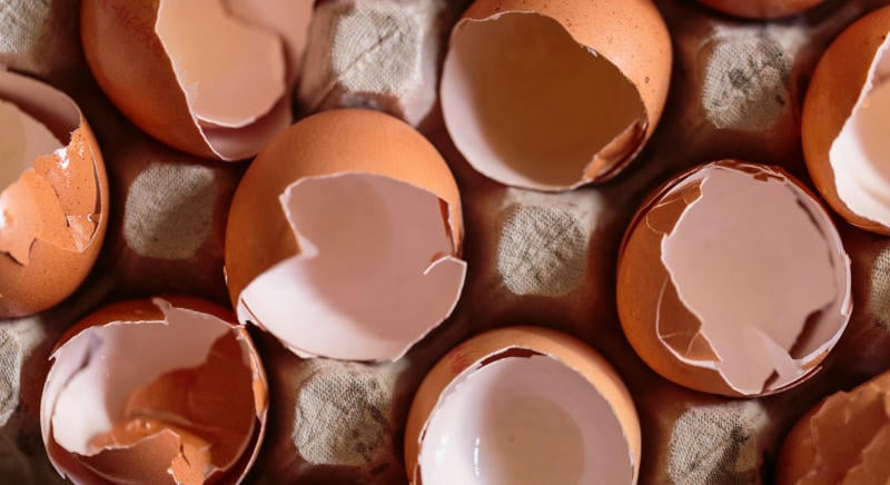 Tojáshéjból repülőgép: ma még kidobjuk, pedig szívósabbá teszi a fémeket