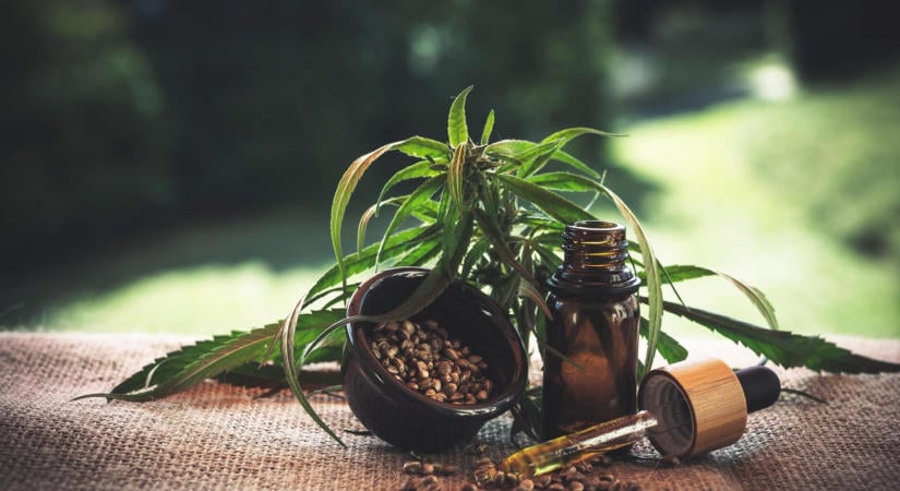 A CBD olaj helyes adagolása: hogyan találod meg a megfelelő mennyiséget?