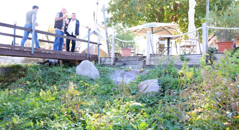 Csoda történt a Balatonban – Dinnyét szüreteltek a kiszáradó mederben a csavargőzös mellett