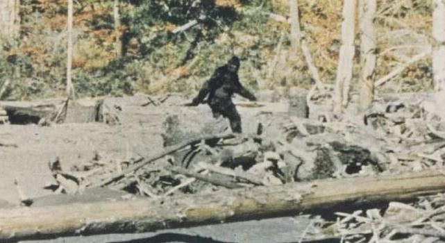 Egy 1966-os felvétel bizonyíthatja, hogy megrendezték a legendás Nagylábú-videót