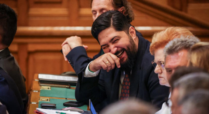 A fideszes Radics Béla alapítványa üresen hagyta a sort, ahol le kellett volna írni, mire kérnek 15 milliót, amit meg is kaptak