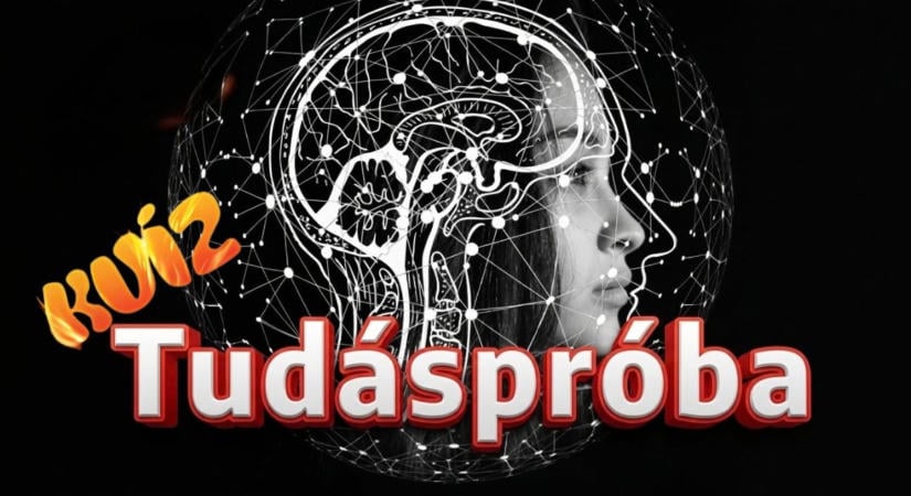 Tudáspróba kvíz: Most kiderül, mennyire vagy tájékozott. Próbára mered tenni magad?