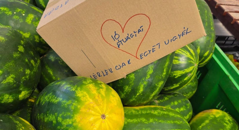 Egy kaloda dinnye várt a rászorulókra – ismét egy nemes gesztus a zalaegerszegi piacon