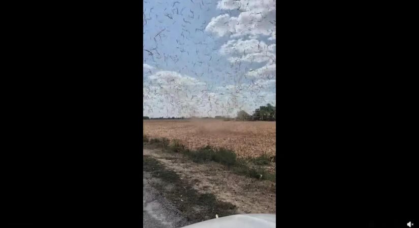 Minitornádó tombolt a kondorosi határban - videó