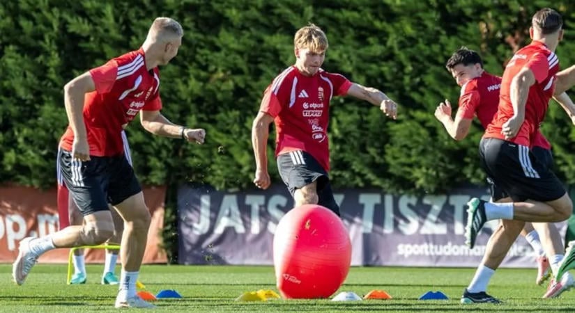 Az NSO-olvasók Szalai Józseffel lepnék meg a grúzokat