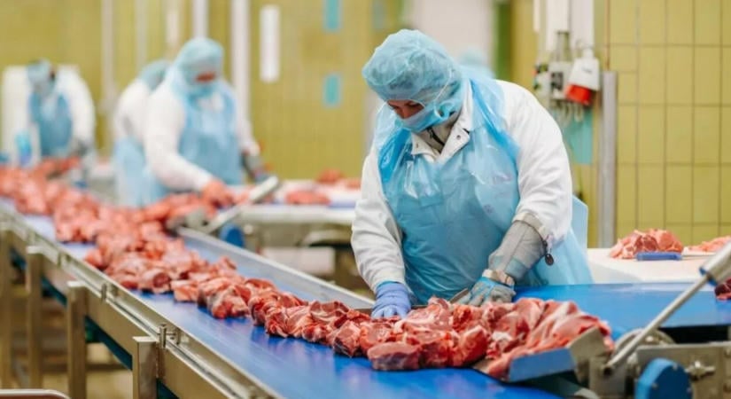 Nőtt a Pick Szeged adózás előtti eredménye, örülhetnek Csányiék