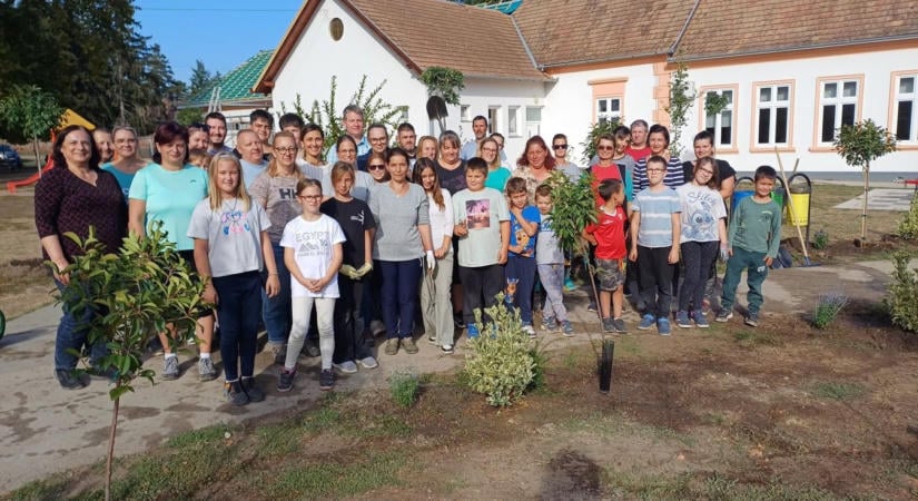 Segített a MOL és a Csodaláng – Zöldebb lett a iskola és óvoda udvara