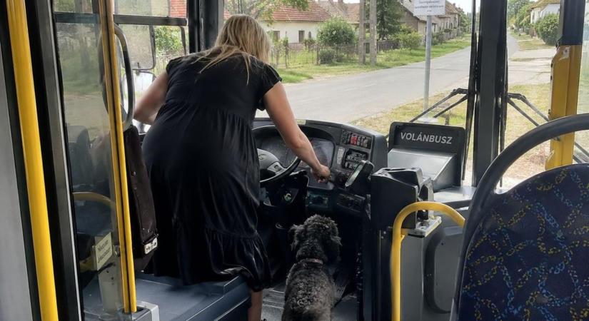 Szürreális buszfoglalás Szentgáloskéren: amíg pihent a sofőr, az egyik utas indította el a járatot