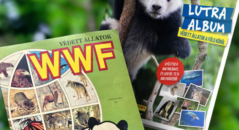 A LIDL ÉS A WWF MAGYARORSZÁG ÚJRA ÉLETRE KELTI A LUTRA ALBUMOT