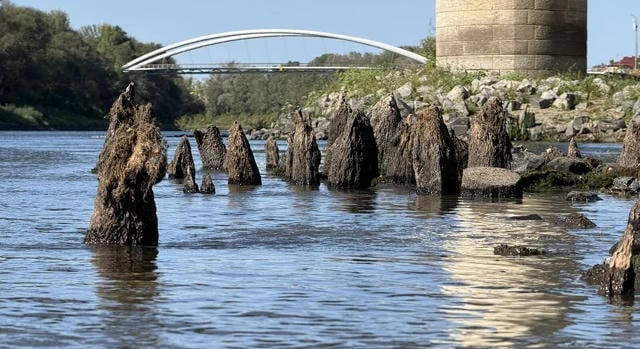 Újabb cölöpöket találtak a török kori Tisza-hídból
