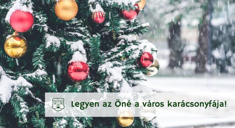 Keresik a város karácsonyfáját