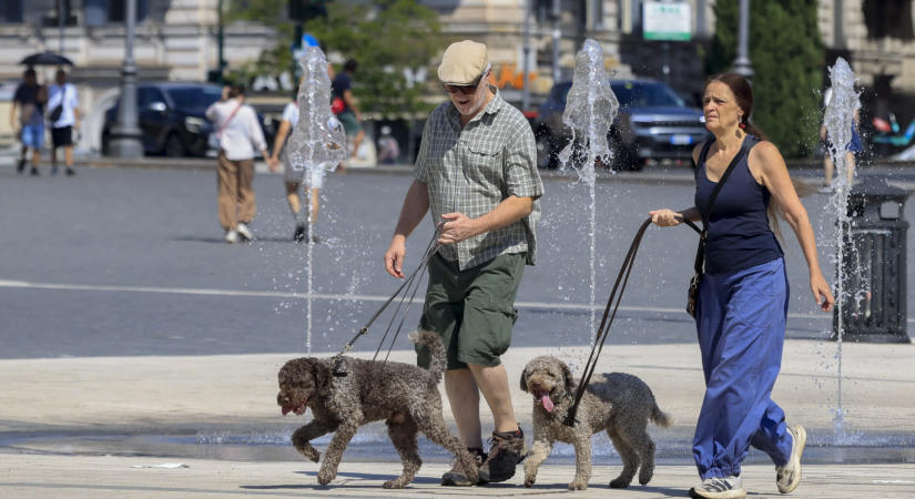 Így változtatja meg az egészségünket a kutyatartás