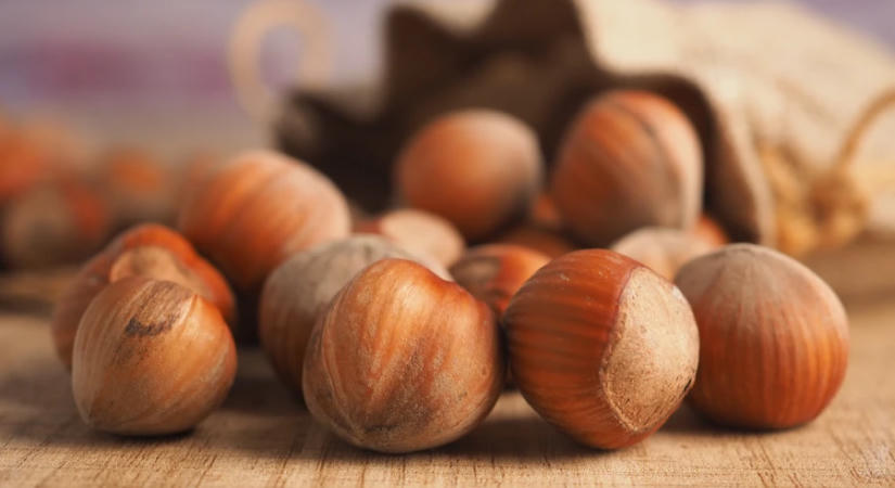 Mogyoró betakarítása és szárítása: mikor válik le könnyen a kupacsról?