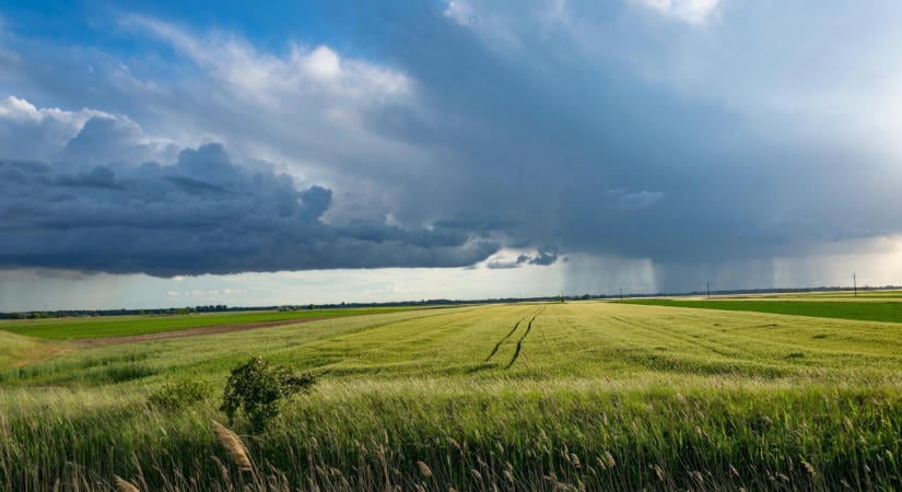 A szélsőséges időjárás határozta meg az idei német mezőgazdaságot