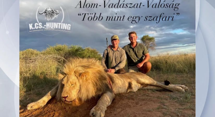 Afrikai luxusvadászata miatt bukja bizottsági posztját a tiszás képviselő
