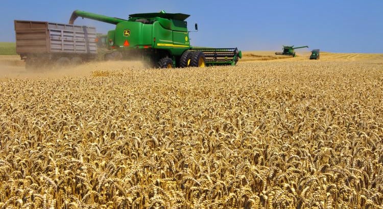 Ausztrál búzaárak: globális zavarok alakítják az agráriumot