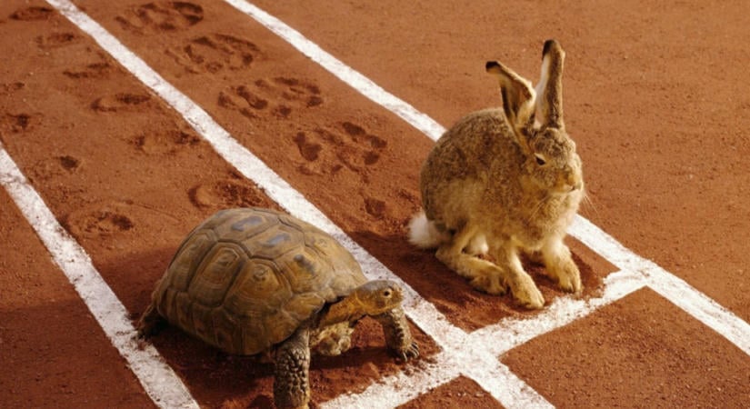 Litecoin vs. Bitcoin: íme 15 év verseny eredménye
