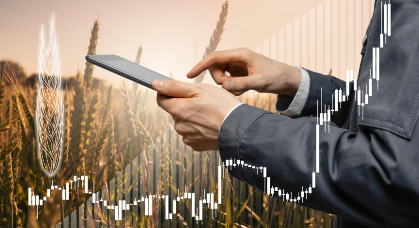 A világ éhesebb, de a termelés kockázatosabb – ki profitál az agráriumból?