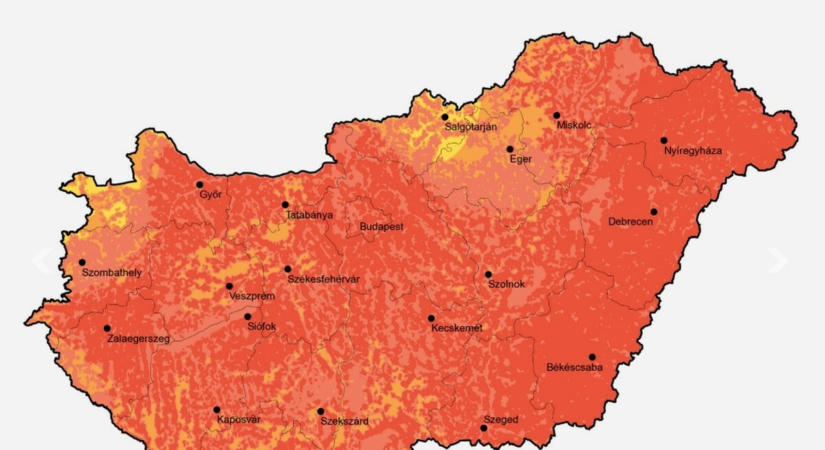 Erősödik a parlagfű pollenszórása: nagyon magas lehet a pollenkoncentráció
