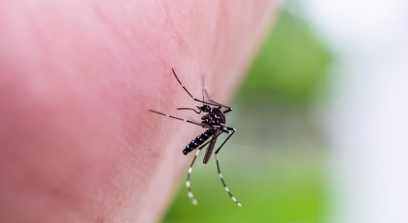 Váratlan és furcsa körülmények között hunyt el egy 80 nyugdíjas